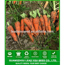 NCA08 Chaduo цена семена моркови, семена мануфактуры
